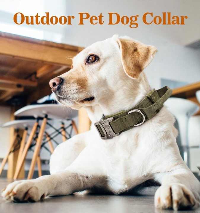 High Quality Heavy Duty Metal Buckle Pet Collar Large Dogs collar and leash set Tactical Dog Collars